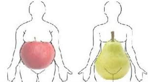 apple shape vs pear shape