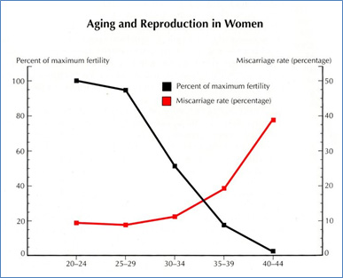 aging and reproduction in women, acupuncture for fertility brisbane