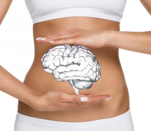 The gut is the second brain