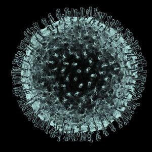 Computer Image of Coronavirus
