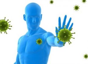 Your immune system is your defence against viruses
