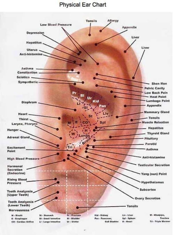 Basic ear acupuncture chart